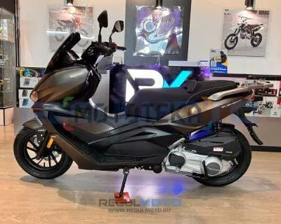 Скутер Regulmoto (Регулмото) ELEMENT 300CC 4T (LJ300T-18) EFI матовый чёрный с ПТС