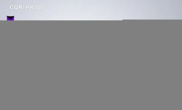 Мотоцикл кроссовый / эндуро Sanchez (Санчез) Maniac PR300 | Мототека