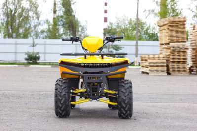 Квадроцикл IRBIS (Ирбис) ATV 200 2024 желтый с ПСМ